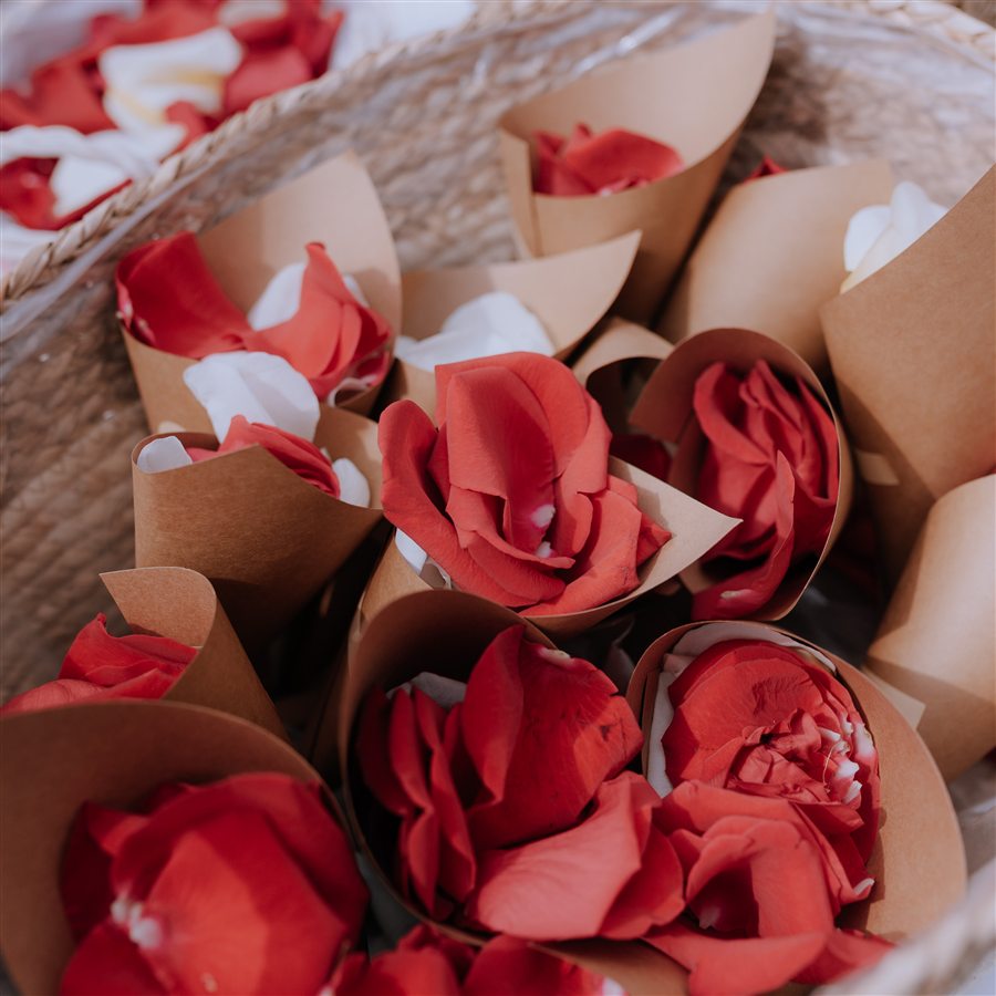 Conos de pétalos de rosa roja