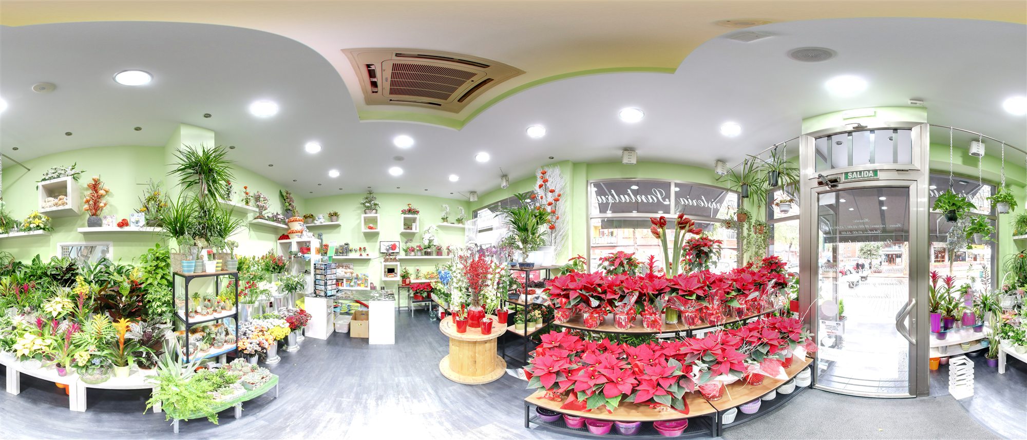 Interior de la floristería Lore Bai en Bilbao