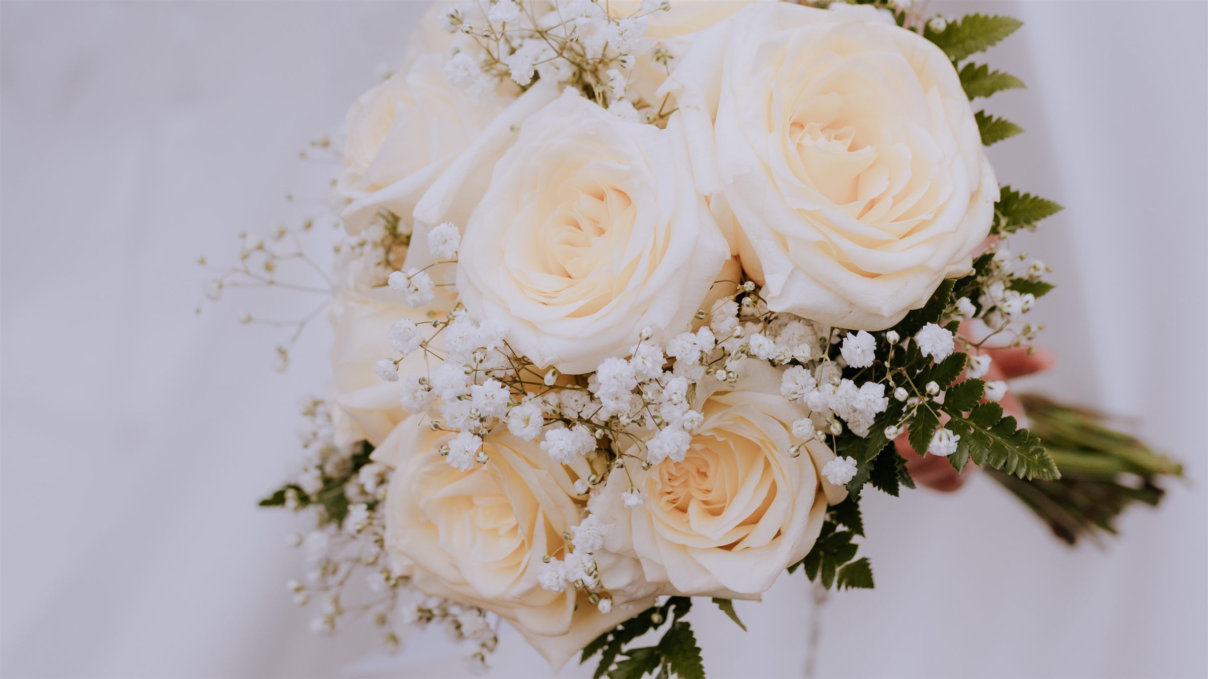 Ramo de novia de rosas blancas y paniculata en las manos de la novia